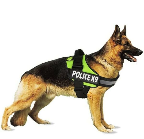 It looks like you're referring to a product description for a police K9 dog harness. This specific product seems to be a medium-sized harness available in multiple colors and is...