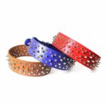 It sounds like you are referring to a product description for a pet dog collar. This particular collar seems to be adjustable, has a studded design, and is available in assorted...