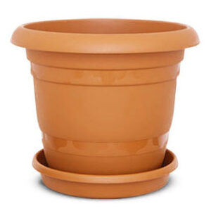 It sounds like you're referring to a round plant pot that comes with a saucer, from a brand called Hobby Life. These types of plant pots are popular for indoor and outdoor...