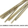 JVL Natural Bamboo Canes 244cm - Pack of 10