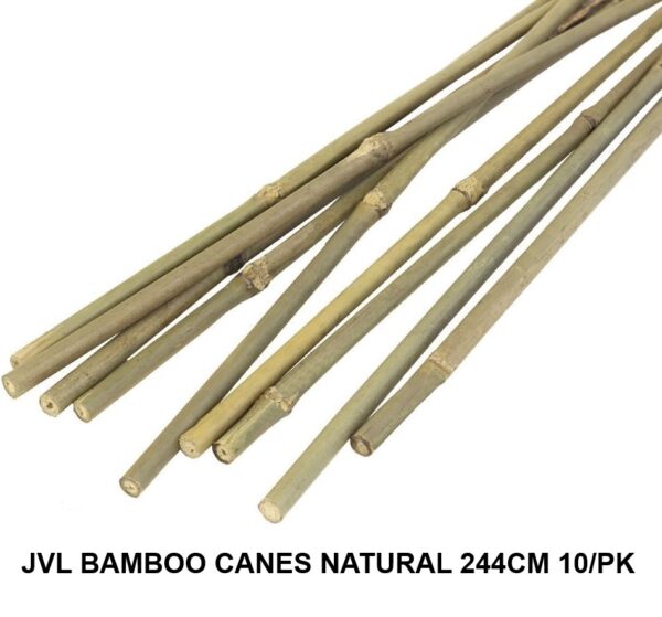 JVL Natural Bamboo Canes 244cm - Pack of 10