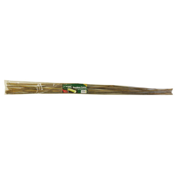 Kingfisher 150cm Bamboo Canes Pack