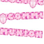 Large Pink Holy Communion Banner