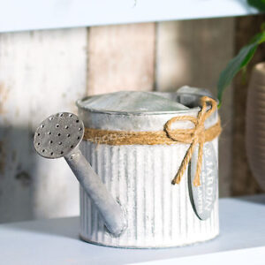 LE JARDIN GALVANIZED PLANTER IN WATERING CAN STYLE