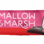 Mallow & Marsh Raspberry Marshmallow Bar 35g Enrobed in 70% Dark Chocolate