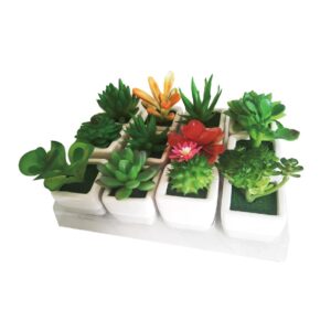 Mini Faux Succulent in Square Transparent Planter