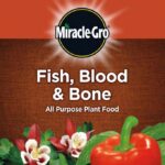 MIRACLE GRO ALL-PURPOSE PLANT FOOD WITH FISH BLOOD & BONE, 1.5KG