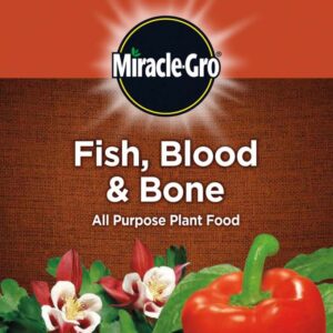 MIRACLE GRO ALL-PURPOSE PLANT FOOD WITH FISH BLOOD & BONE, 1.5KG