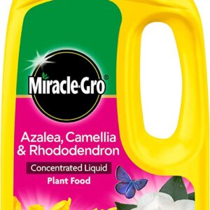 MIRACLE-GRO Concentrated Liquid Plant Food for Azalea, Camellia & Rhododendron - 800ml