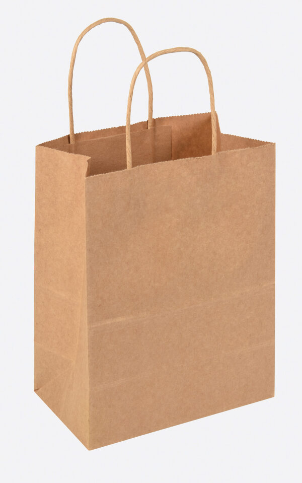 Pack of 12 County Brown Kraft Medium Gift Bags