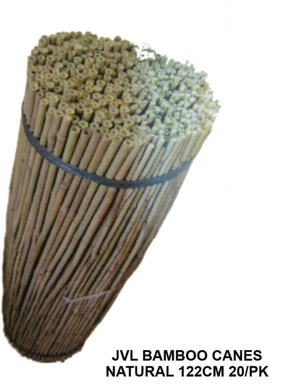 Pack of 20 Natural Bamboo Canes - 122cm