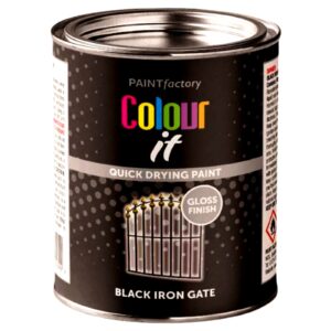 PAINT FACTORY COLOR IT FAST-DRY BLACK IRON GATE PAINT 300ML