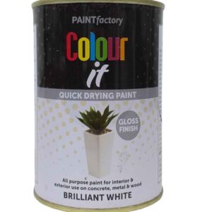 Paint Factory Quick-Dry Brilliant White Paint - 300ml