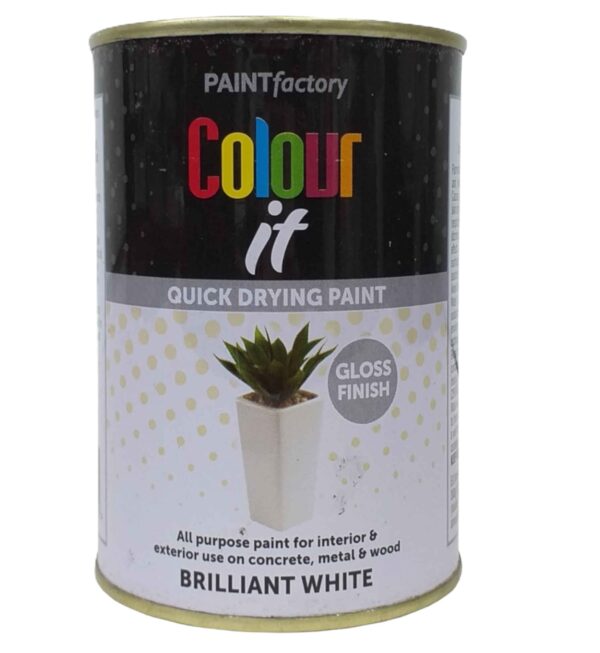 Paint Factory Quick-Dry Brilliant White Paint - 300ml