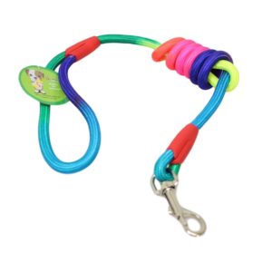 **Pet Dog Rope Leash - Rainbow Color**