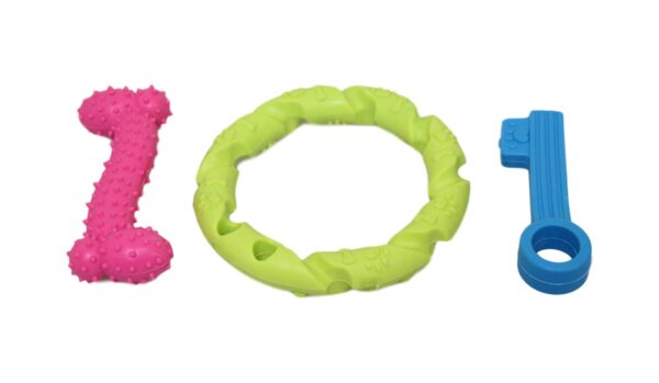 **Pet Dog Toy Set**: A collection of toys designed specifically for dogs, which could include items like chew toys, balls, or squeaky toys