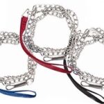 PLAYFUL PETS 4FT ASSORTED COLOR LEASH WITH STRAP