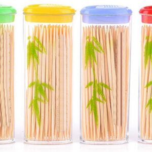 Pocket Case Bamboo Toothpicks, Pack of 100