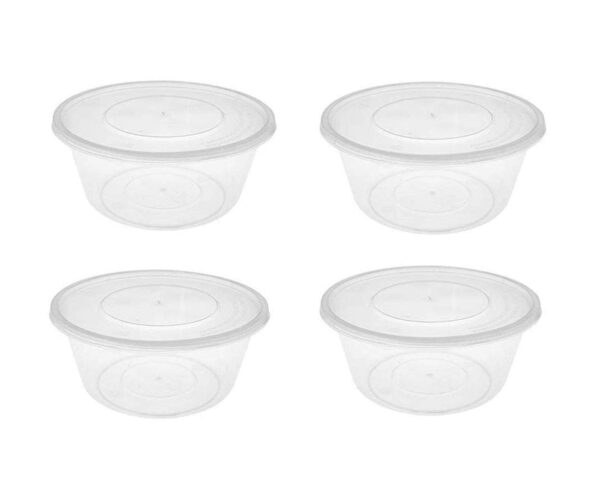 **Product Type**: Disposable Plastic Food Containers