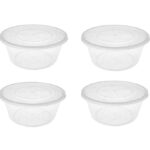 **Product Type**: Disposable Plastic Food Containers