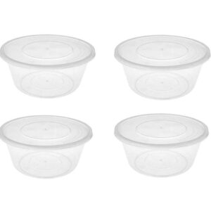 **Product Type**: Disposable Plastic Food Containers