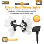**Product Type**: Garden Edison Bulb String Lights
