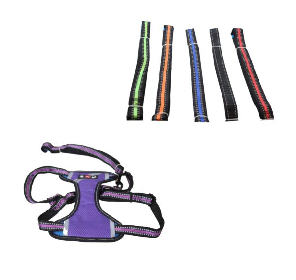 **Product Type**: Pet Dog Leads and Harnesses