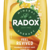 Radox Feel Revived Shower Gel 225ml