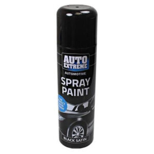 Rapide Auto Black Satin Spray Paint, 12-Pack