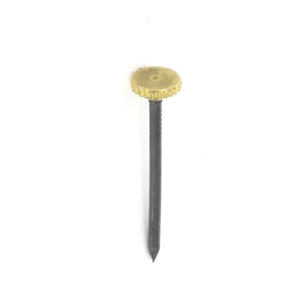 SECURIT S6205 Picture Pins with Brass Heads, Pack of 6