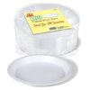 Set of 100 Disposable 9-Inch Round Plastic Plates