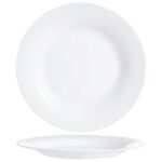 Set of 12 Luminarc Vidiris 20cm Dessert Plates