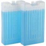 Set of 2 Thermos 200g Ice Packs
