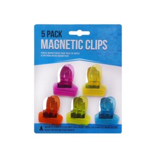 Set of 5 Magnetic Memo Clips