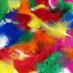 Soft Craft Feathers for Art Projects: Easter Collages, Hats, Costumes, Millinery, Scrapbooking, Cards, and Easter Bonnets
