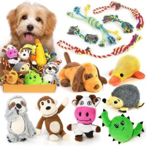 Squeaky Toys for Small Dogs