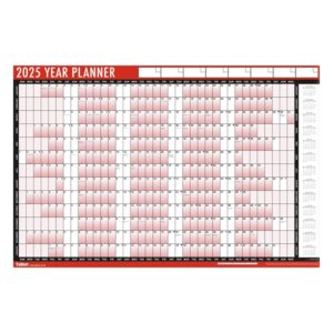 Tallon Wall Planner Calendar for the Full Year 2024 - 2025