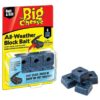 The Big Cheese All-Weather Mouse & Rat Bait Blocks - 10g, Pack of 6