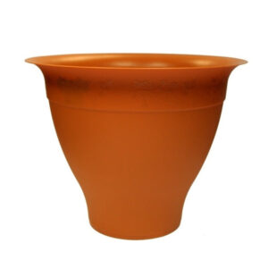 The Greenfields Plant Saucer in Terracotta, with a size range of 16-20 cm, is a gardening accessory designed to catch excess water that drains from potted plants. Made from...