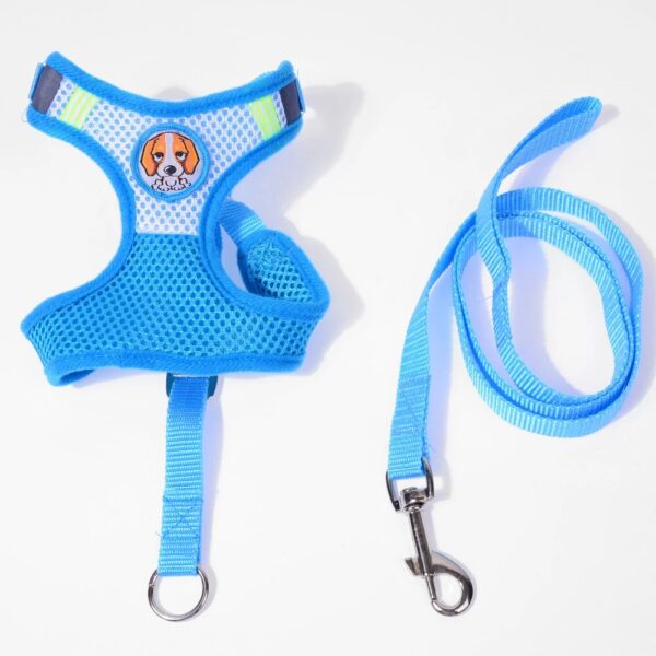 The item you're referring to seems to be a reflective dog leash with a soft harness vest designed for small-sized dogs. The dimensions indicate a length of 93 cm, and the...