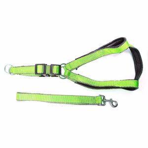 The Nylon Bright Lightweight & Reflective Dog Leash with Extra Strong Harness, identified as Pet 4617, is designed for pet owners seeking a durable and visible accessory for...