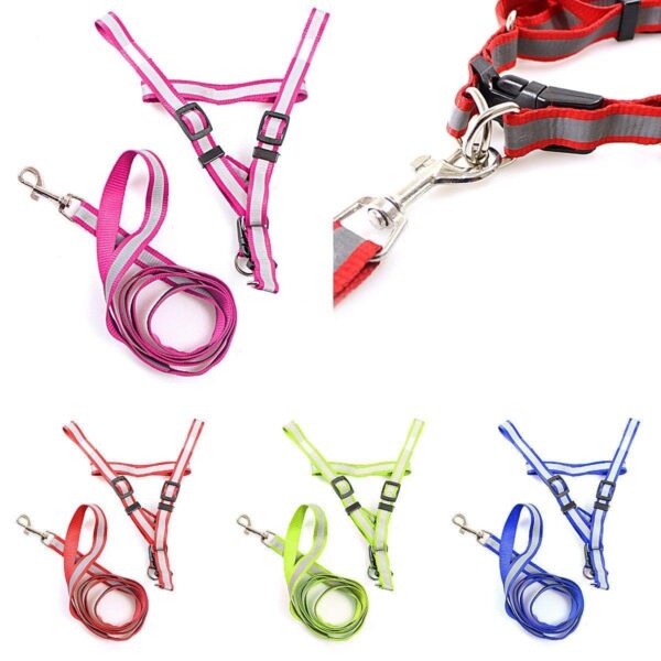 The Nylon Bright Lightweight & Reflective Dog Leash with Extra Strong Harness is designed for pet owners seeking durability and safety during walks. This leash boasts a bright...