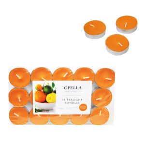 The Opella Sicilian Citrus tealight candles offer a delightful and refreshing scent that can enhance the ambiance of any space. Each pack includes 12 tealight candles, each with...