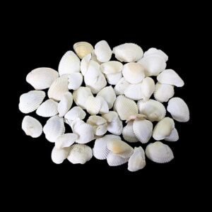 The "Pack of Coral Sea Shells Decor" seems like a decorative product designed for aquariums or home decor. These sea shells could be used to enhance the aesthetic appeal of...