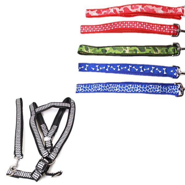 The product you are describing seems to be a dog leash and harness set featuring printed designs and available in assorted styles. The term "Large Letter Rate" likely refers to...