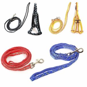 The product you mentioned appears to be a dog leash and harness set featuring printed designs available in assorted colors and styles. The SKU or product code "0041" seems to be...