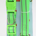 The product you're referring to seems to be a pet dog lead and collar set available in assorted colors, designed for shipping at a large letter rate. This typically indicates...