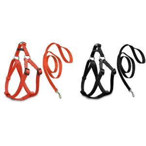 The product you're referring to seems to be a pet dog leash available in assorted colors. It is identified with the number 0040, which might be a model or product code. The term...