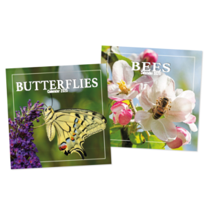 The "Square Calendar: Bees and Butterflies Year 2025 - Case of 12, English" is likely a product that includes a set of 12 wall calendars for the year 2025. Each calendar...