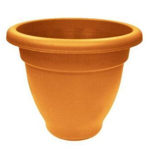 The Winchester Round Bell Pot is a type of garden planter made from terracotta. With a diameter of 35cm, it's designed for outdoor use, suitable for planting a variety of...